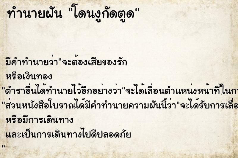 ทำนายฝัน โดนงูกัดตูด ทำนายฝัน โดนงูกัดตูด