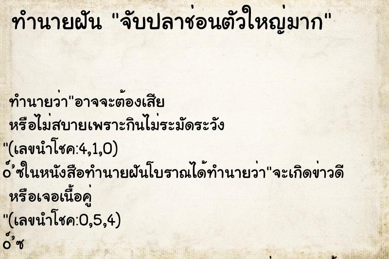 ทำนายฝัน จับปลาช่อนตัวใหญ่มาก ตำราโบราณ แม่นที่สุดในโลก