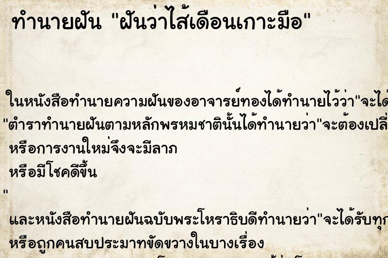 ทำนายฝัน ฝันว่าไส้เดือนเกาะมือ ทำนายฝัน ฝันว่าไส้เดือนเกาะมือ
