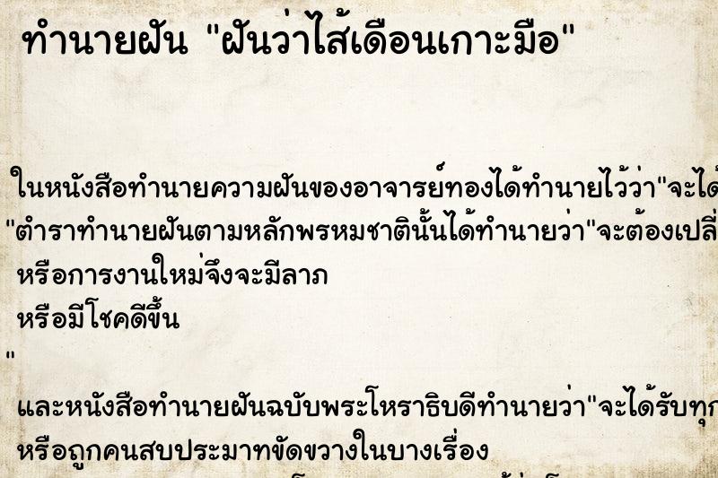 ทำนายฝัน ฝันว่าไส้เดือนเกาะมือ ตำราโบราณ แม่นที่สุดในโลก