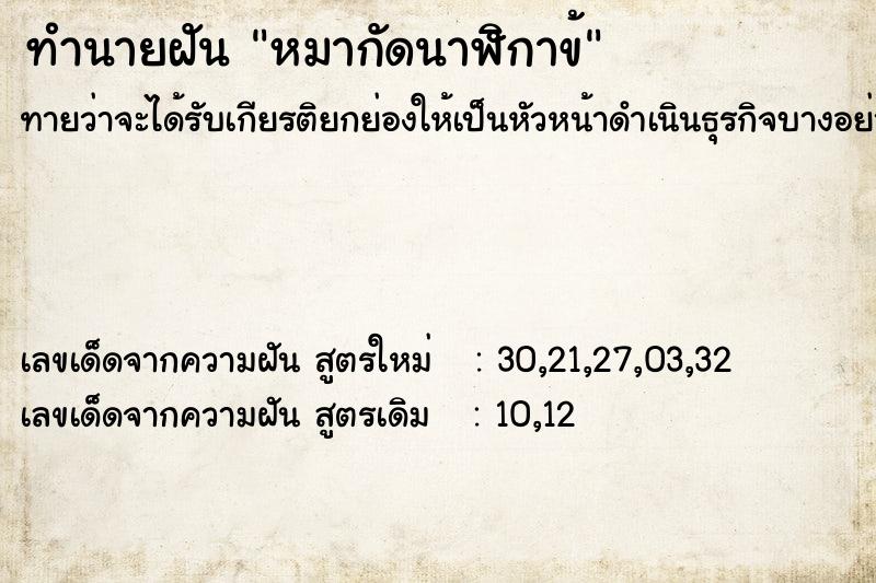 ทำนายฝัน หมากัดนาฬิกาข้ ทำนายฝัน หมากัดนาฬิกาข้