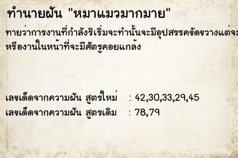 ทำนายฝันทำนายฝันหมาแมวมากมาย