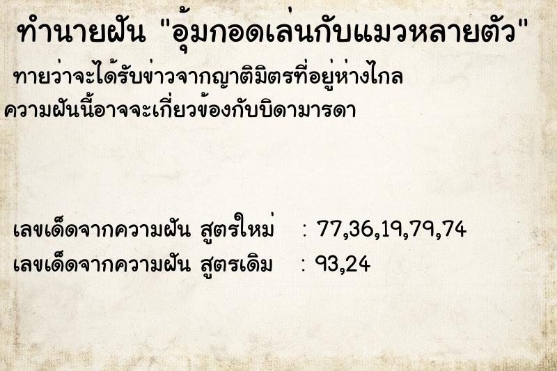ทำนายฝันทำนายฝันอุ้มกอดเล่นกับแมวหลายตัว