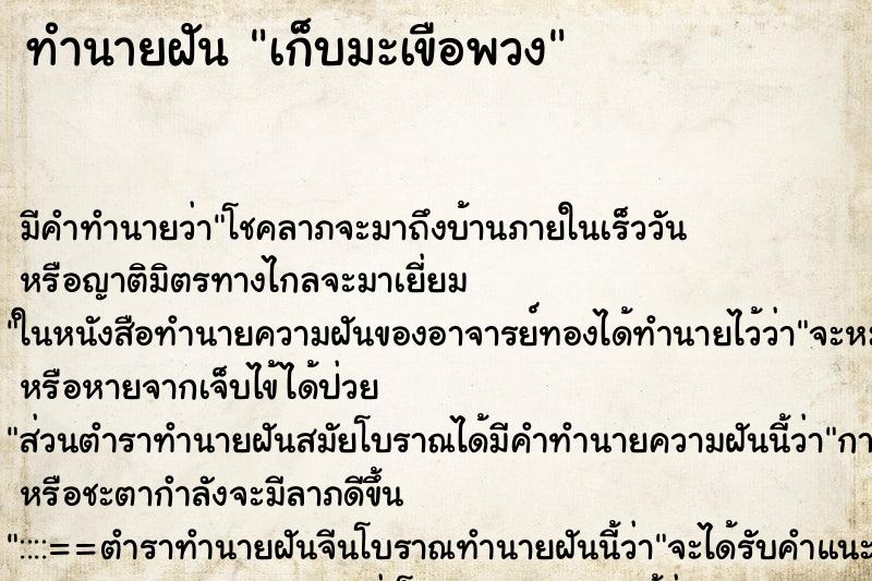 ทำนายฝัน เก็บมะเขือพวง ตำราโบราณ แม่นที่สุดในโลก