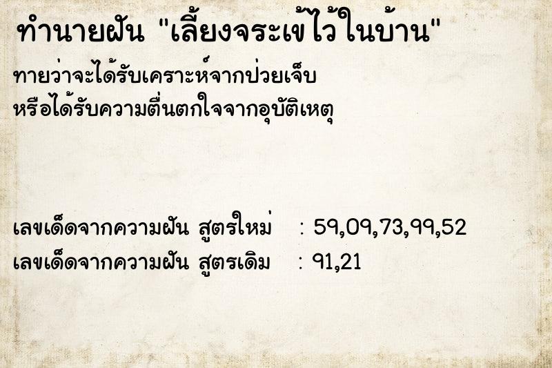 ทำนายฝันทำนายฝันเลี้ยงจระเข้ไว้ในบ้าน