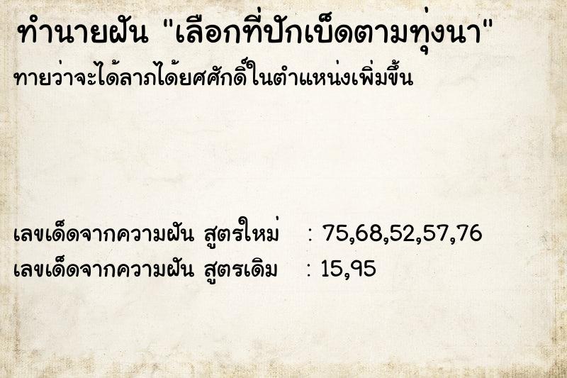 ทำนายฝันทำนายฝันเลือกที่ปักเบ็ดตามทุ่งนา