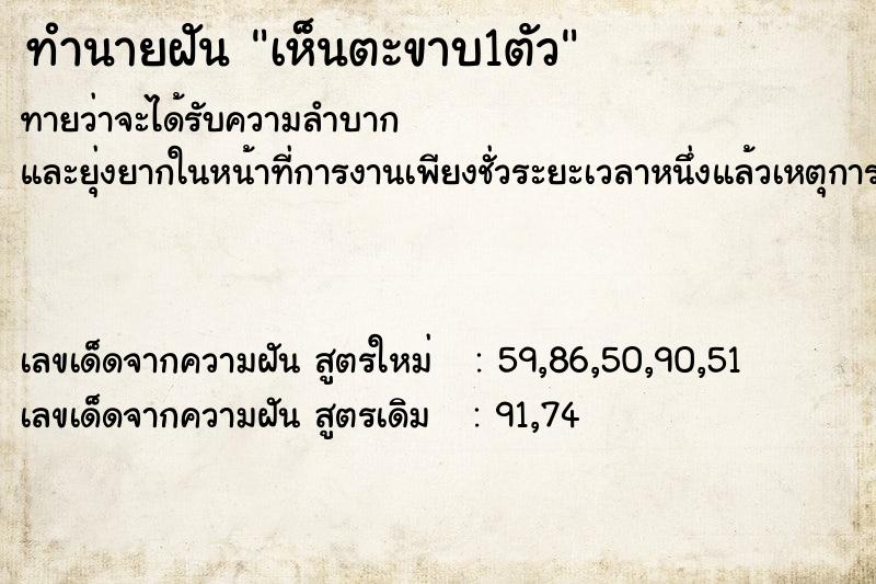 ทำนายฝันเห็นตะขาบ1ตัว ทำนายฝันทำนายฝันเห็นตะขาบ1ตัว