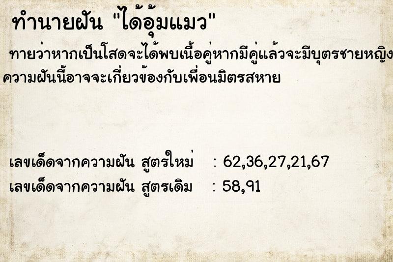 ทำนายฝัน ได้อุ้มแมว ทำนายฝัน ได้อุ้มแมว