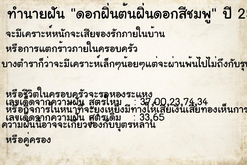 ทำนายฝันดอกฝิ่นต้นฝิ่นดอกสีชมพู ทำนายฝันทำนายฝันดอกฝิ่นต้นฝิ่นดอกสีชมพู