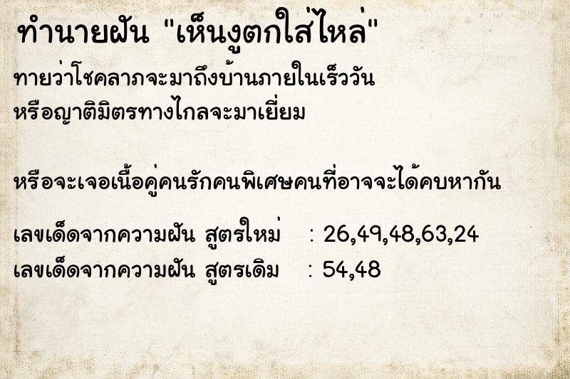 ทำนายฝันทำนายฝันเห็นงูตกใส่ไหล่