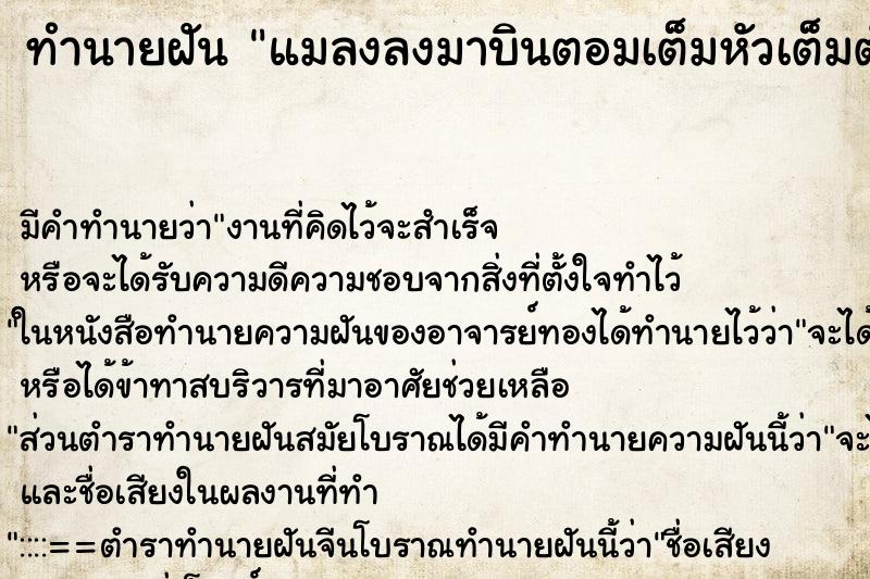 ทำนายฝัน แมลงลงมาบินตอมเต็มหัวเต็มตัวไปหมด ตำราโบราณ แม่นที่สุดในโลก