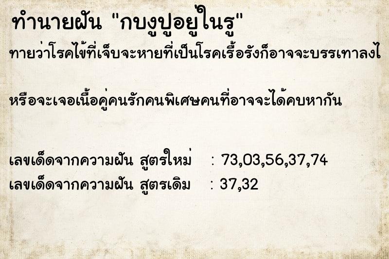 ทำนายฝันกบงูปูอยู่ในรู ทำนายฝันทำนายฝันกบงูปูอยู่ในรู