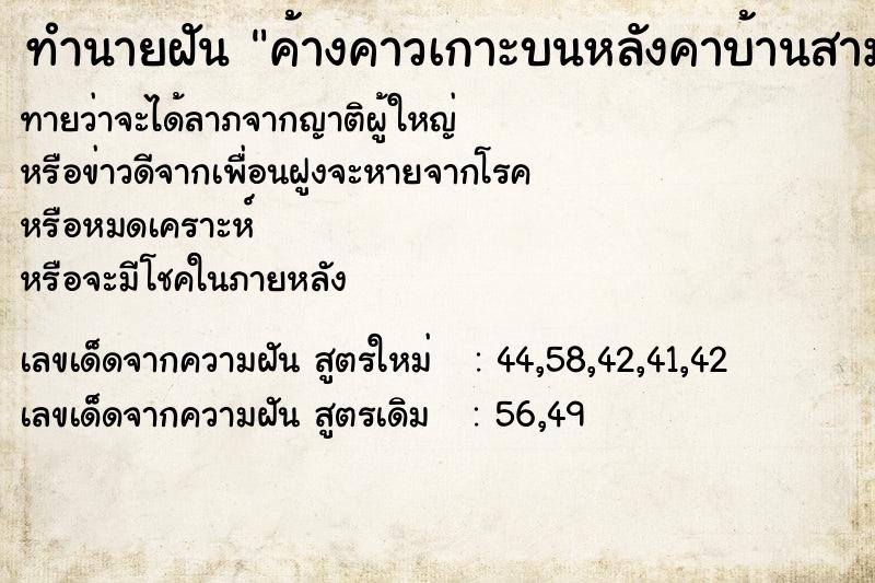 ทำนายฝันค้างคาวเกาะบนหลังคาบ้านสามตัว ทำนายฝันทำนายฝันค้างคาวเกาะบนหลังคาบ้านสามตัว