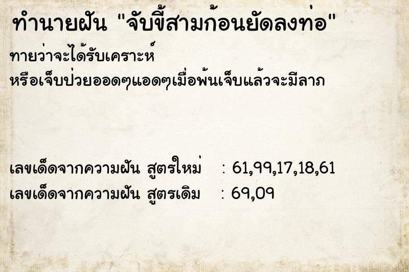 ทำนายฝันจับขี้สามก้อนยัดลงท่อ ทำนายฝันทำนายฝันจับขี้สามก้อนยัดลงท่อ