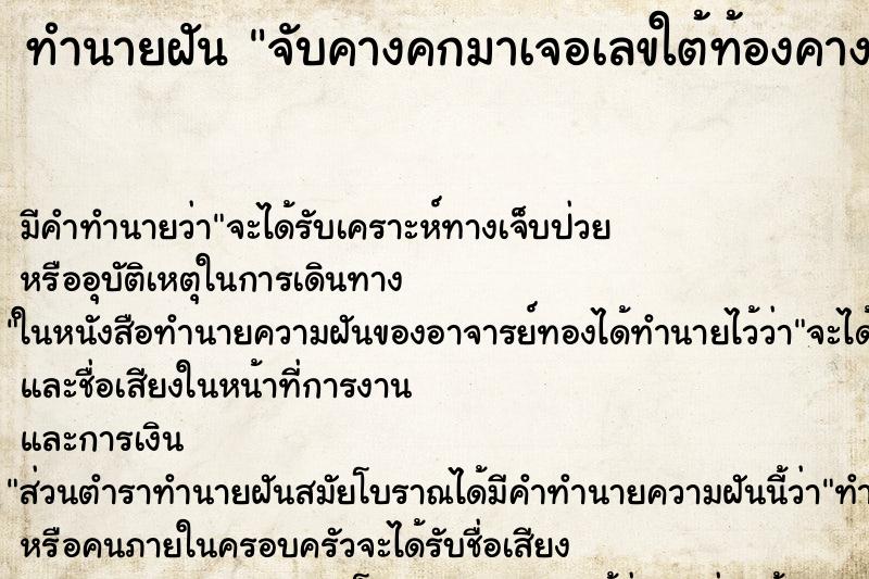 ทำนายฝันจับคางคกมาเจอเลขใต้ท้องคางคก ทำนายฝันทำนายฝันจับคางคกมาเจอเลขใต้ท้องคางคก