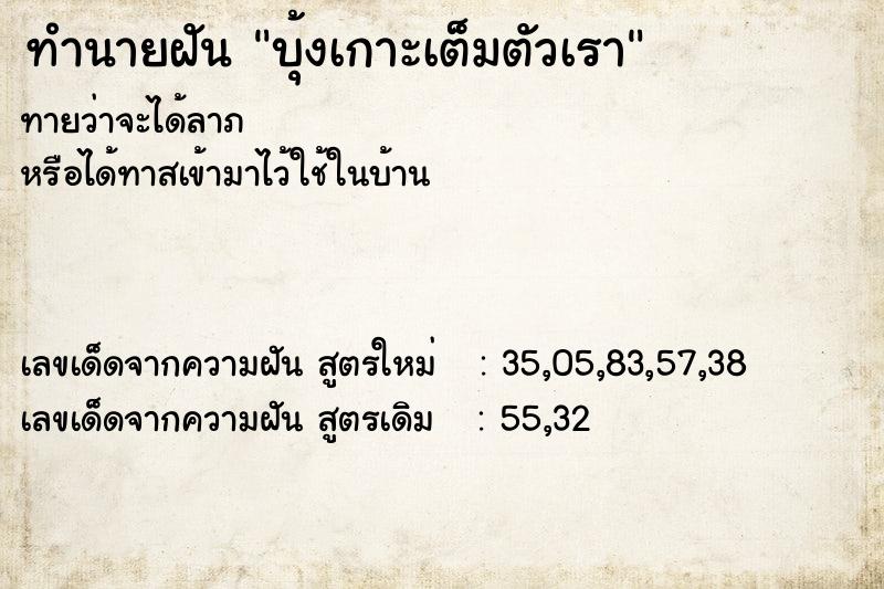 ทำนายฝันทำนายฝันบุ้งเกาะเต็มตัวเรา