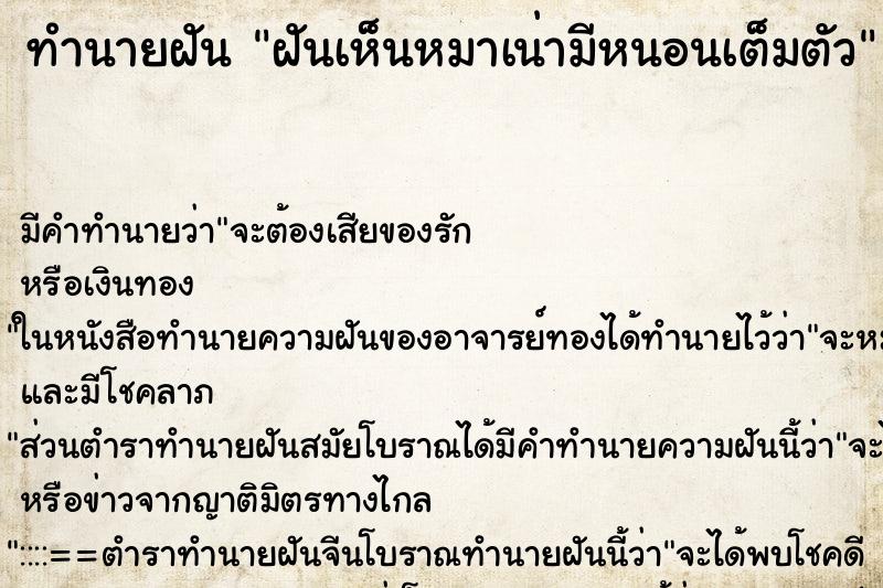 ทำนายฝัน ฝันเห็นหมาเน่ามีหนอนเต็มตัว ทำนายฝัน ฝันเห็นหมาเน่ามีหนอนเต็มตัว