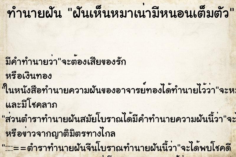 ทำนายฝัน ฝันเห็นหมาเน่ามีหนอนเต็มตัว ตำราโบราณ แม่นที่สุดในโลก