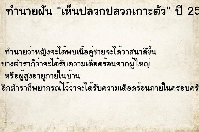 ทำนายฝันเห็นปลวกปลวกเกาะตัว ทำนายฝันทำนายฝันเห็นปลวกปลวกเกาะตัว