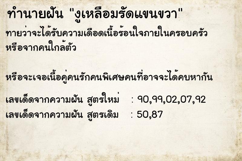 ทำนายฝันงูเหลือมรัดแขนขวา ทำนายฝันทำนายฝันงูเหลือมรัดแขนขวา