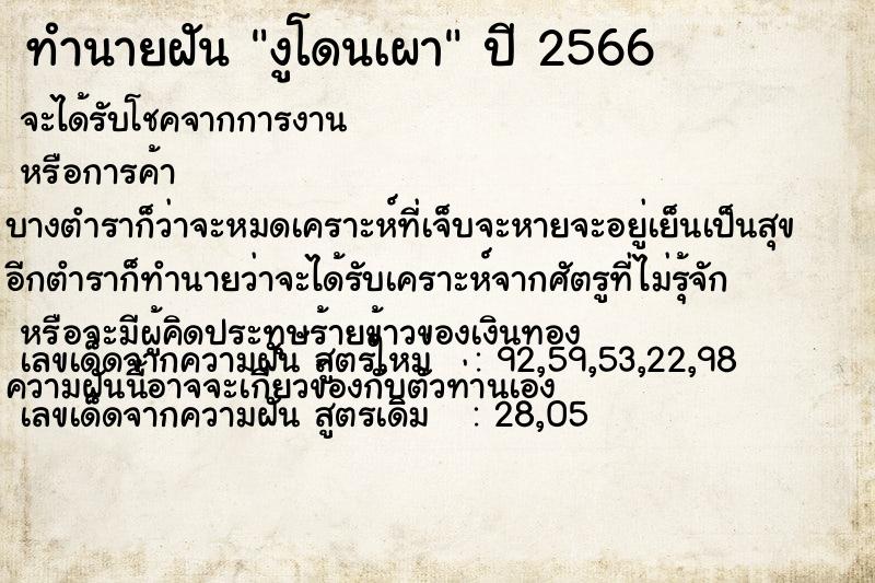 ทำนายฝัน งูโดนเผาแม่นๆ ฟรี ด้วยตำราหนังสือทำนายฝันโบราณ ทำนายฝันงูโดนเผา