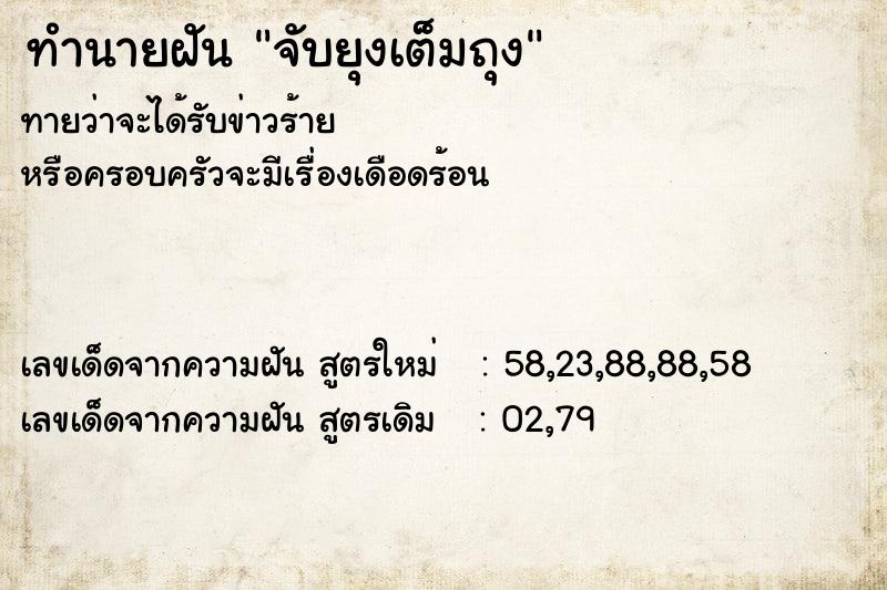 ทำนายฝัน จับยุงเต็มถุง ทำนายฝัน จับยุงเต็มถุง