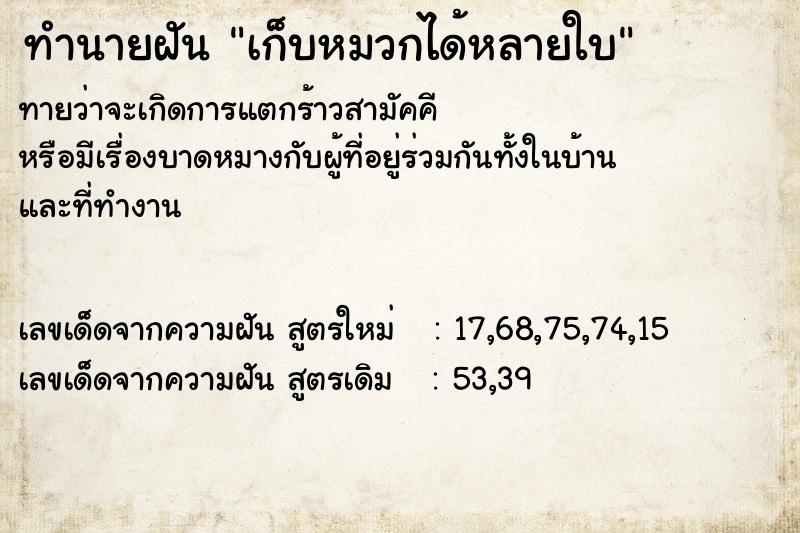 ทำนายฝันทำนายฝันเก็บหมวกได้หลายใบ