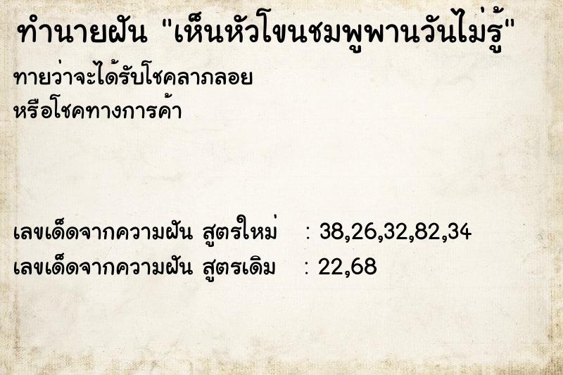 ทำนายฝันเห็นหัวโขนชมพูพานวันไม่รู้ ทำนายฝันทำนายฝันเห็นหัวโขนชมพูพานวันไม่รู้