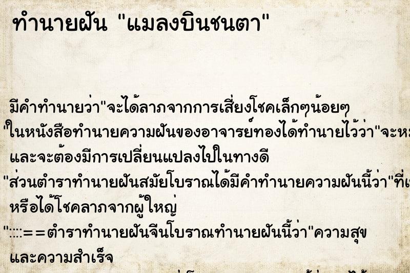ทำนายฝัน แมลงบินชนตา ทำนายฝัน แมลงบินชนตา