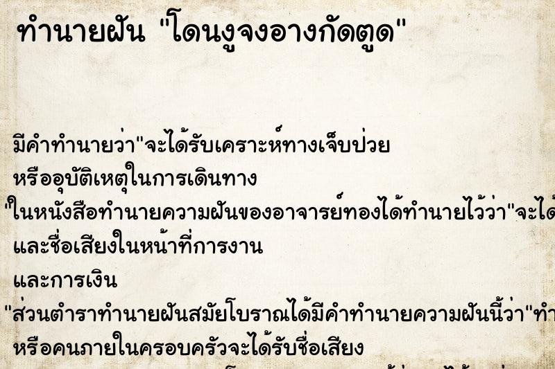 ทำนายฝัน โดนงูจงอางกัดตูด ตำราโบราณ แม่นที่สุดในโลก