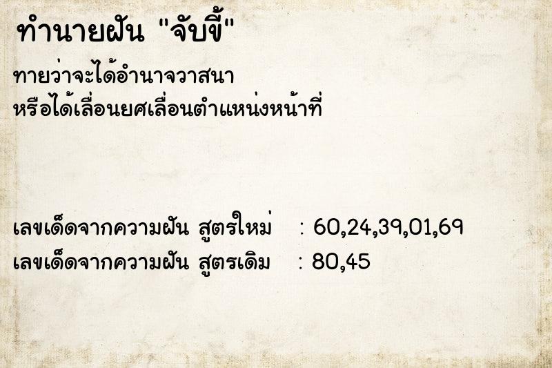 ทำนายฝันทำนายฝันจับขี้้