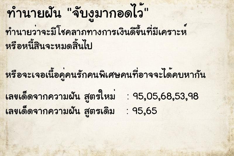ทำนายฝันจับงูมากอดไว้ ทำนายฝันทำนายฝันจับงูมากอดไว้