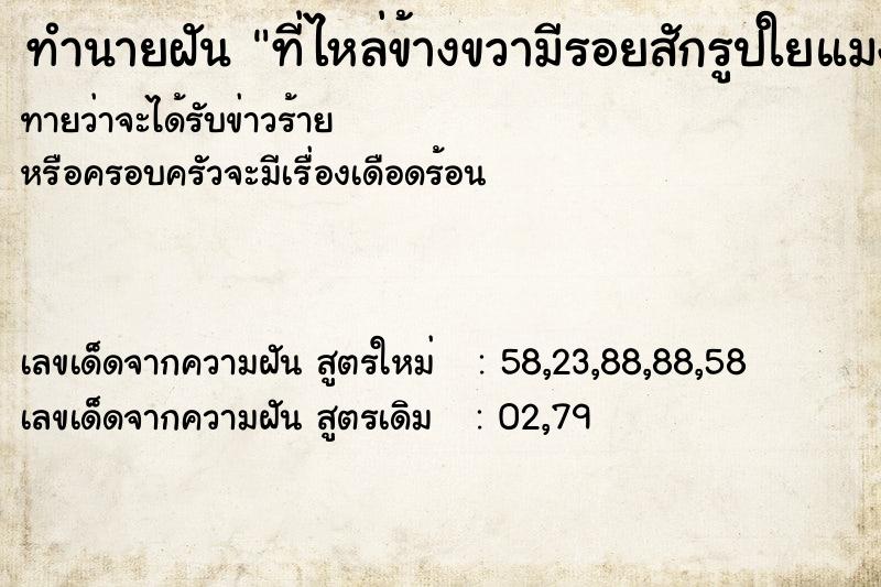ทำนายฝันทำนายฝันที่ไหล่ข้างขวามีรอยสักรูปใยแมงมุม