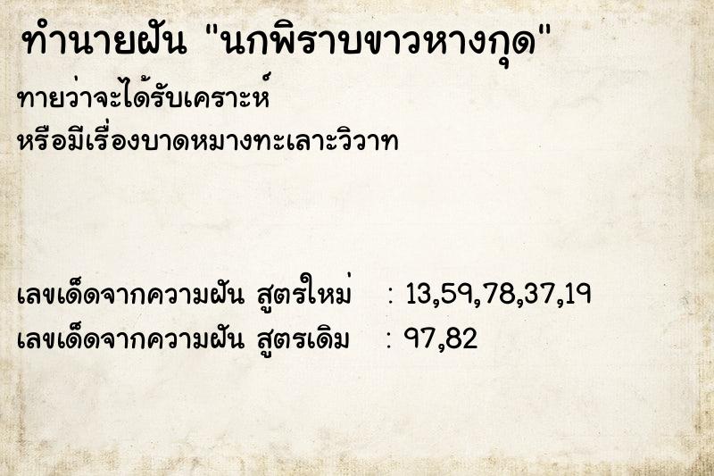ทำนายฝันนกพิราบขาวหางกุด ทำนายฝันทำนายฝันนกพิราบขาวหางกุด