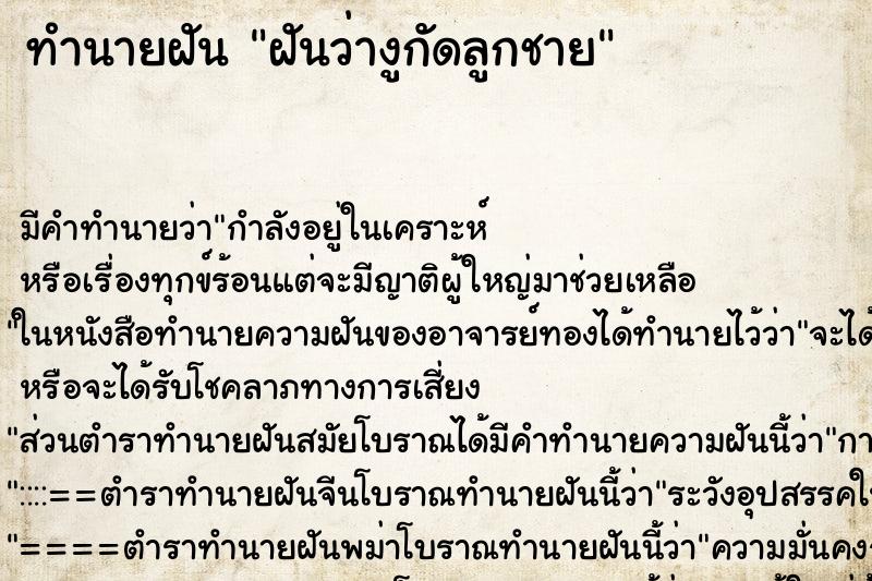 ทำนายฝัน ฝันว่างูกัดลูกชาย ทำนายฝัน ฝันว่างูกัดลูกชาย