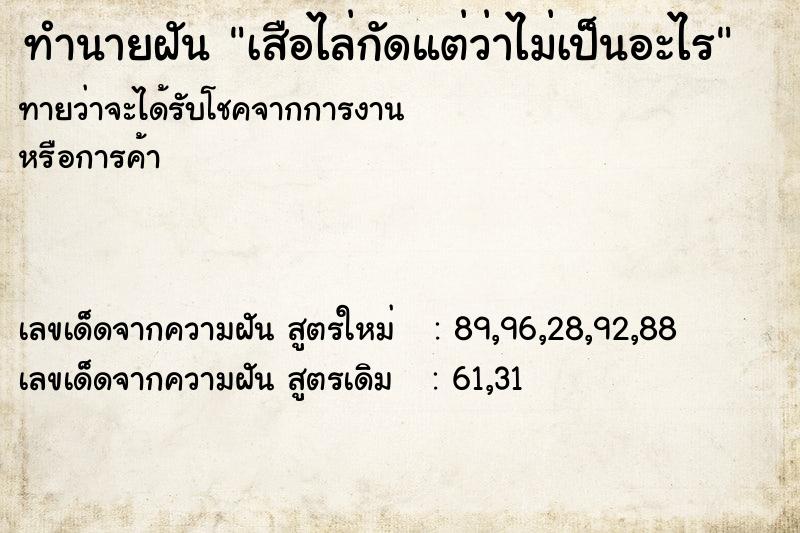 ทำนายฝันเสือไล่กัดแต่ว่าไม่เป็นอะไร ทำนายฝันทำนายฝันเสือไล่กัดแต่ว่าไม่เป็นอะไร