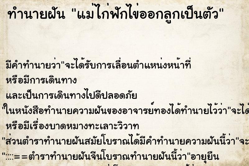 ทำนายฝัน แม่ไก่ฟักไข่ออกลูกเป็นตัว ทำนายฝัน แม่ไก่ฟักไข่ออกลูกเป็นตัว