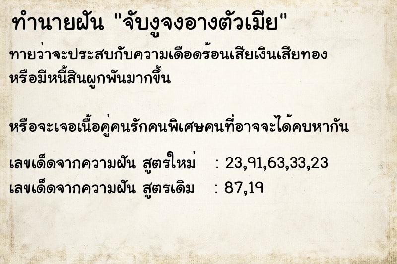 ทำนายฝันจับงูจงอางตัวเมีย ทำนายฝันทำนายฝันจับงูจงอางตัวเมีย