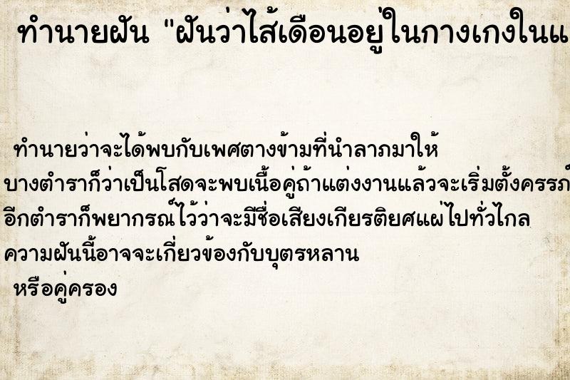 ทำนายฝัน ฝันว่าไส้เดือนอยู่ในกางเกงในและไชทั่วร่างกาย ทำนายฝัน ฝันว่าไส้เดือนอยู่ในกางเกงในและไชทั่วร่างกาย