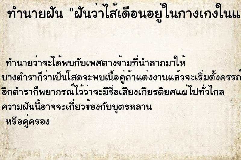 ทำนายฝัน ฝันว่าไส้เดือนอยู่ในกางเกงในและไชทั่วร่างกาย ตำราโบราณ แม่นที่สุดในโลก