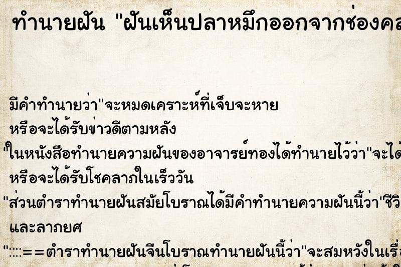 ทำนายฝันฝันเห็นปลาหมึกออกจากช่องคลอด ทำนายฝันทำนายฝันฝันเห็นปลาหมึกออกจากช่องคลอด