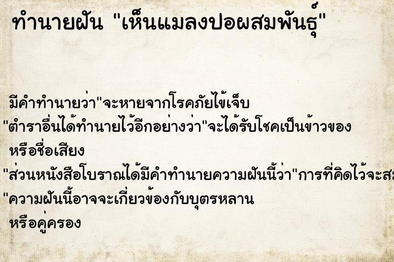 ทำนายฝัน เห็นแมลงปอผสมพันธุ์ ทำนายฝัน เห็นแมลงปอผสมพันธุ์