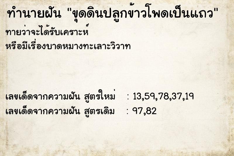 ทำนายฝันทำนายฝันขุดดินปลูกข้าวโพดเป็นแถว