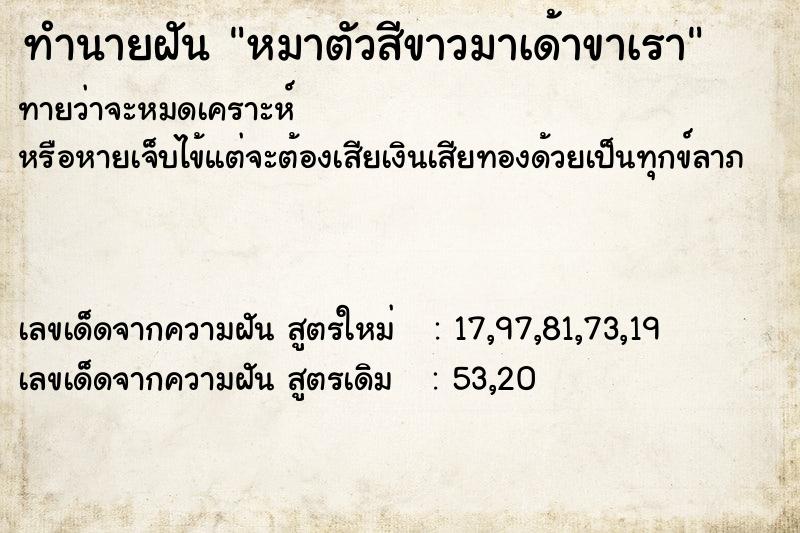 ทำนายฝันทำนายฝันหมาตัวสีขาวมาเด้าขาเรา