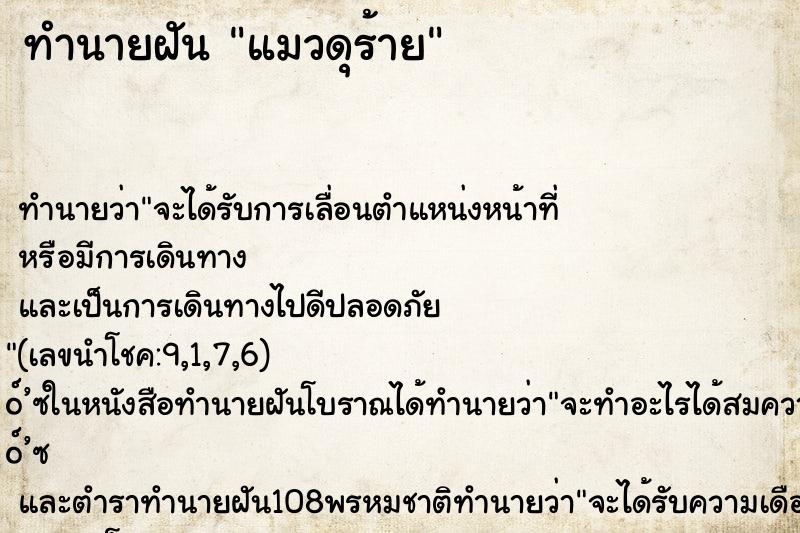 ทำนายฝัน แมวดุร้าย ทำนายฝัน แมวดุร้าย