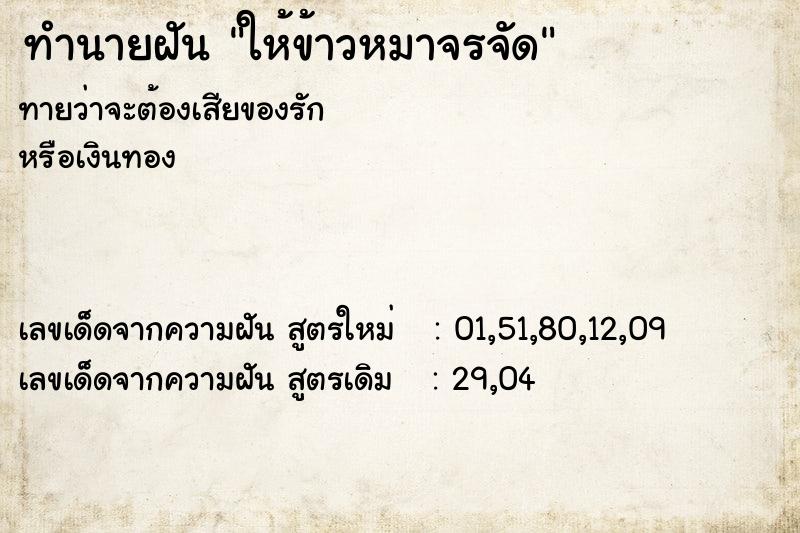 ทำนายฝันให้ข้าวหมาจรจัด ทำนายฝันทำนายฝันให้ข้าวหมาจรจัด