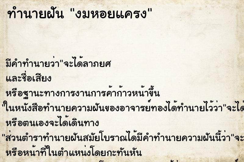 ทำนายฝัน งมหอยแครง ทำนายฝัน งมหอยแครง