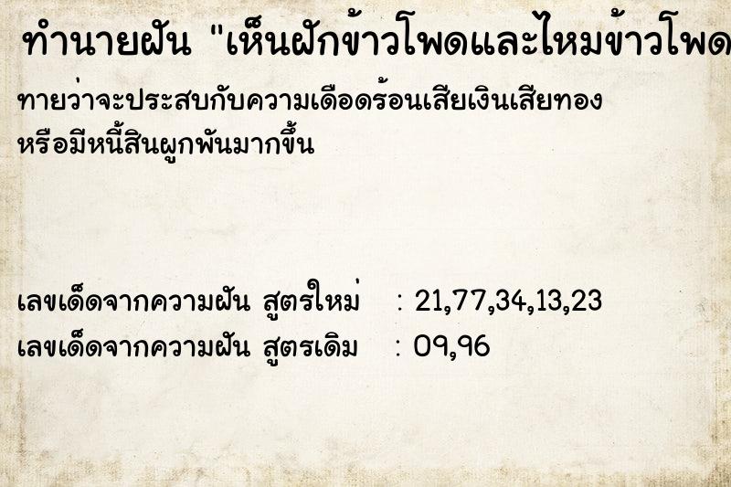 ทำนายฝันทำนายฝันเห็นฝักข้าวโพดและไหมข้าวโพดวันวันไม่รู้