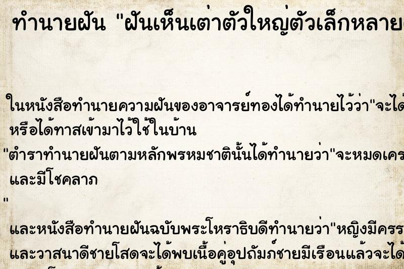 ทำนายฝันทำนายฝันฝันเห็นเต่าตัวใหญ่ตัวเล็กหลายตัว