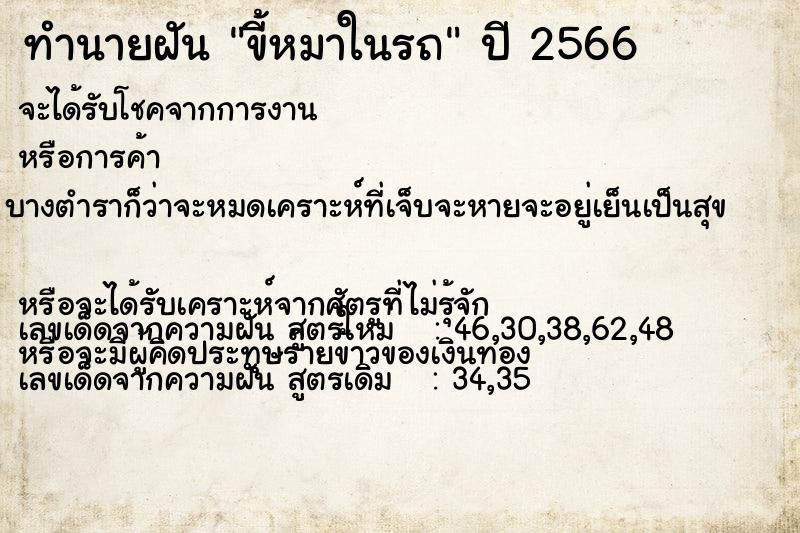 ทำนายฝันขี้หมาในรถ ทำนายฝันทำนายฝันขี้หมาในรถ